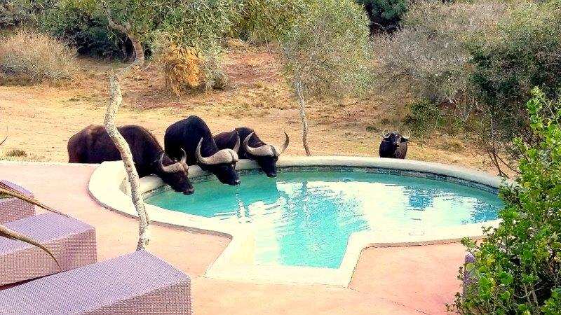 Accommodation Images For 11 Rooms To Sync With Nightsbridge (1)